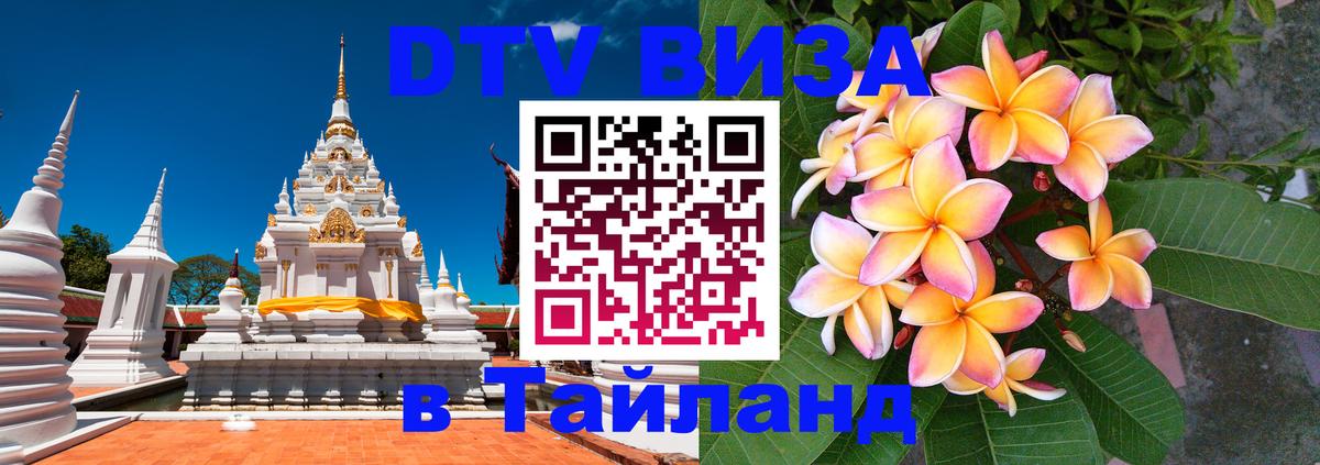 Сколько стоит DTV виза — актуальные цены, оформление даже без документов - 19.11.2025 